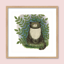 Load image into Gallery viewer, Mog sat in the dark
