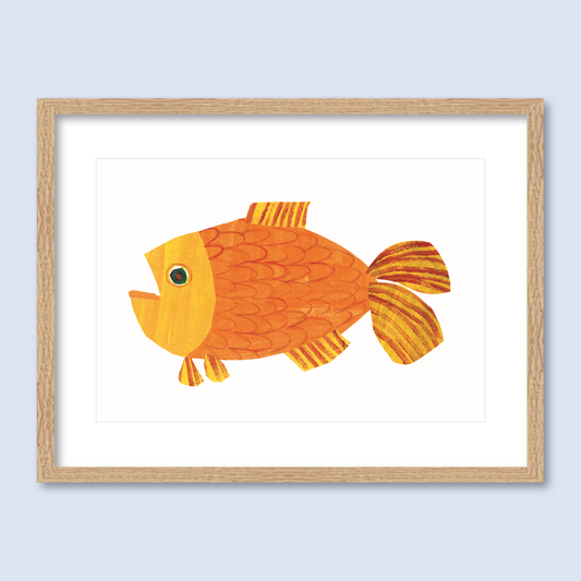 Goldfish, Goldfish