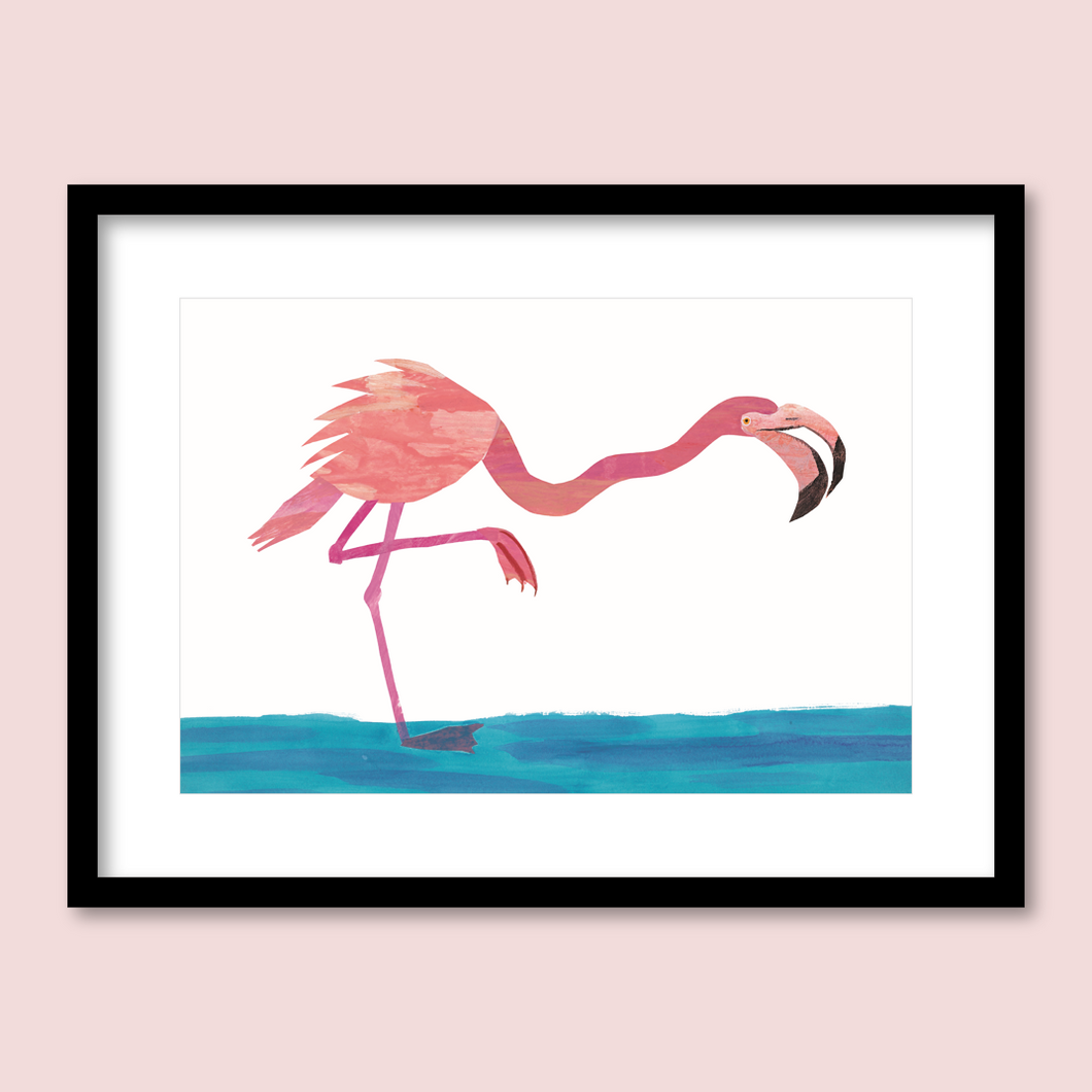 Flamingo, Flamingo
