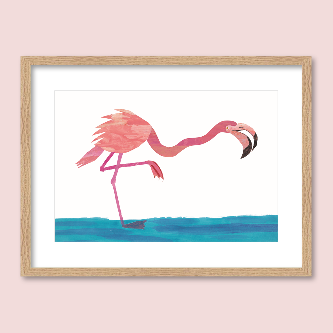 Flamingo, Flamingo