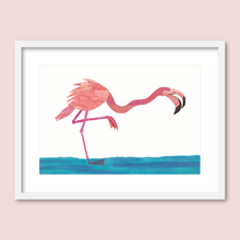 Load image into Gallery viewer, Flamingo, Flamingo
