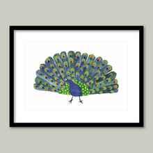 Load image into Gallery viewer, Peacock, Peacock

