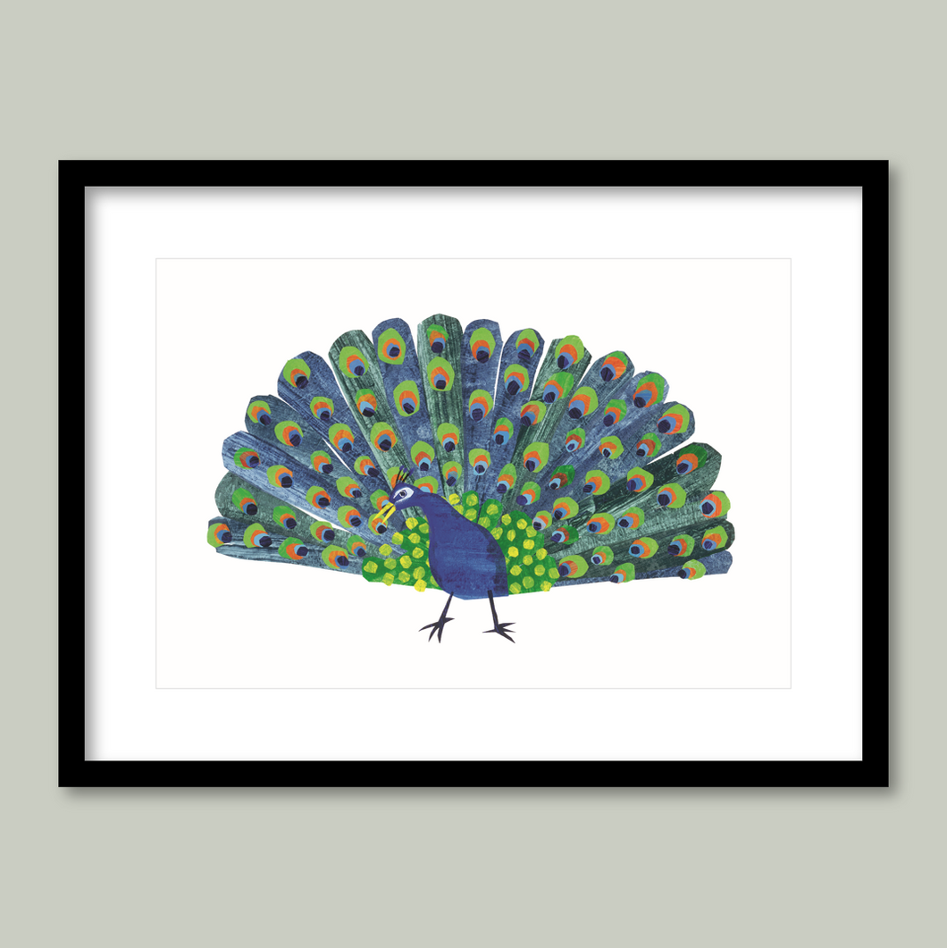 Peacock, Peacock
