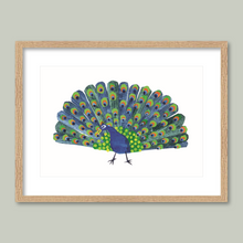 Load image into Gallery viewer, Peacock, Peacock
