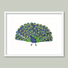 Load image into Gallery viewer, Peacock, Peacock
