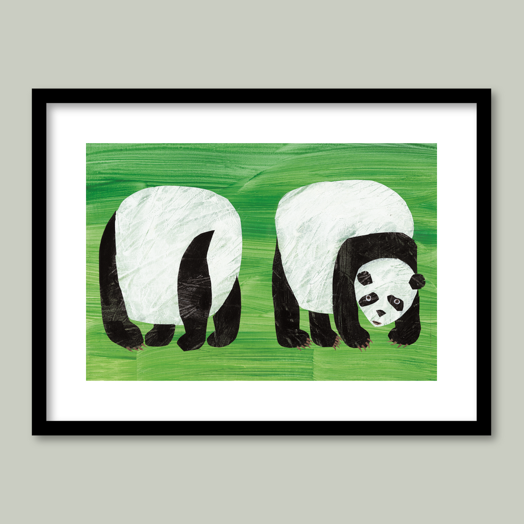 Panda Bear, What Did You See?