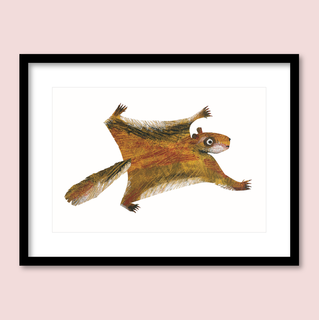 Flying Squirrel, Flying Squirrel