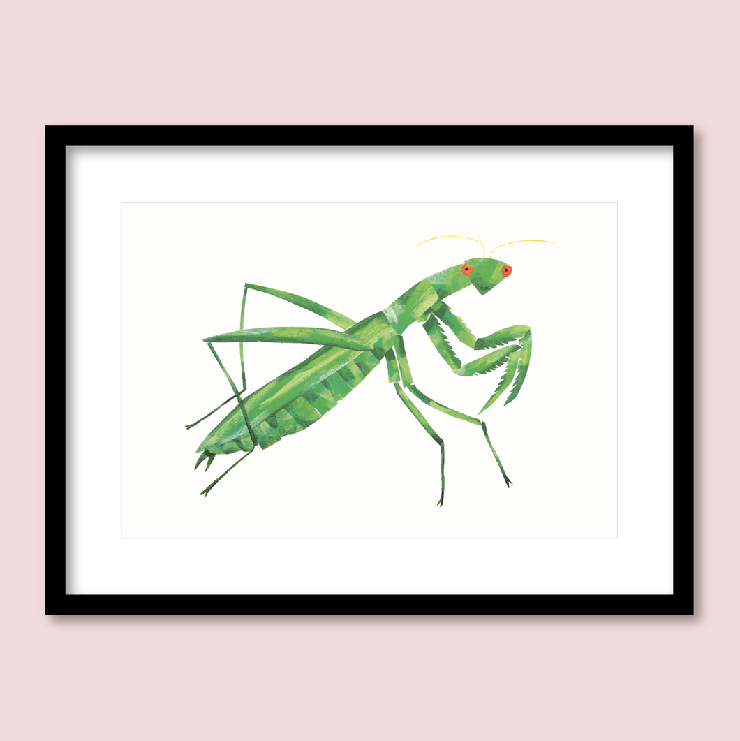 Whispered a Praying Mantis