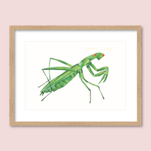 Load image into Gallery viewer, Whispered a Praying Mantis
