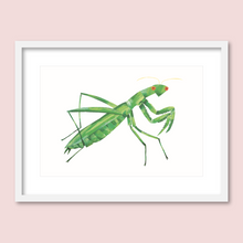 Load image into Gallery viewer, Whispered a Praying Mantis
