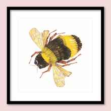 Load image into Gallery viewer, Hummed a Bumblebee
