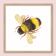 Load image into Gallery viewer, Hummed a Bumblebee
